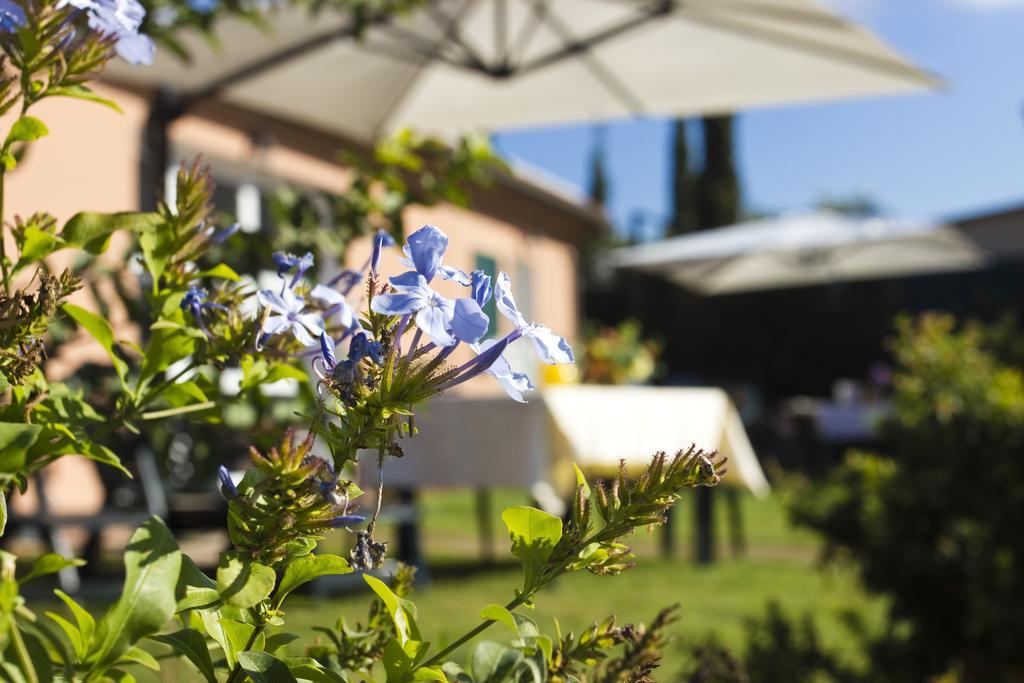 בולגרי Agriturismo Ferruggini מראה חיצוני תמונה